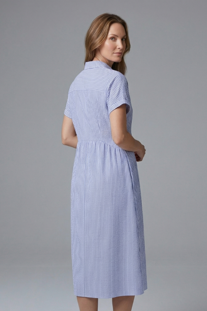 Women’s Midi Dress with Collar and Button Front