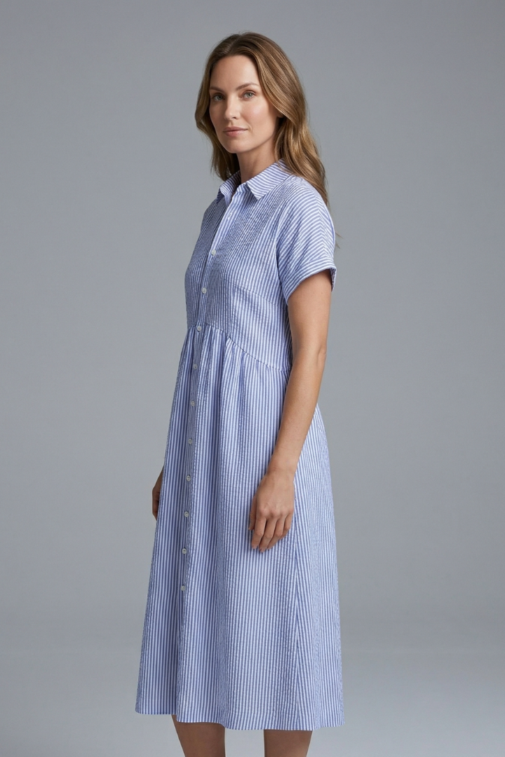 Women’s Midi Dress with Collar and Button Front