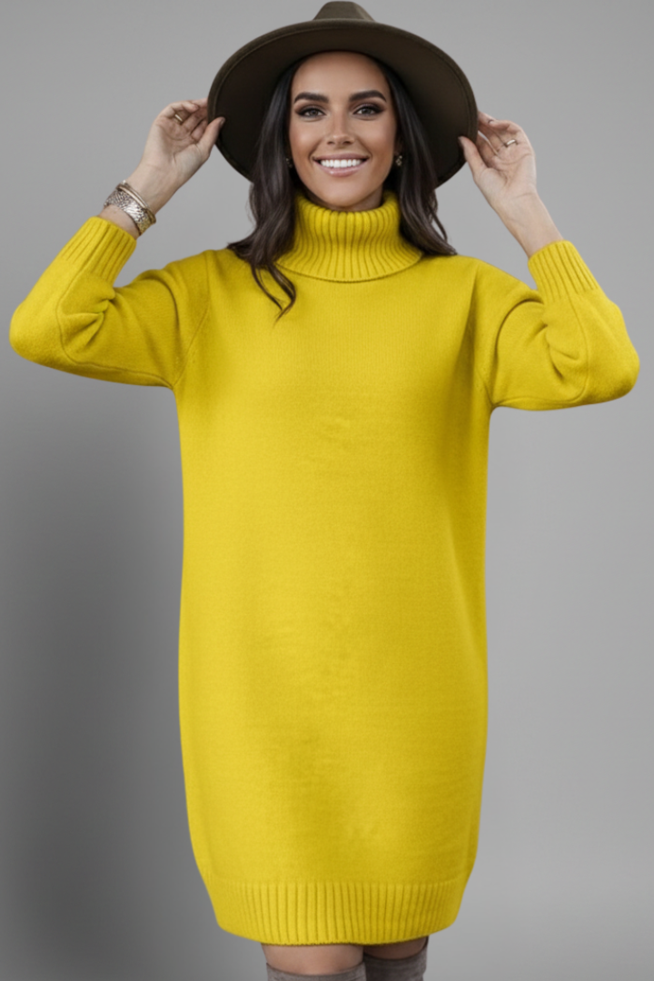 Women’s Sweater Dress with High Neck and Long Sleeves